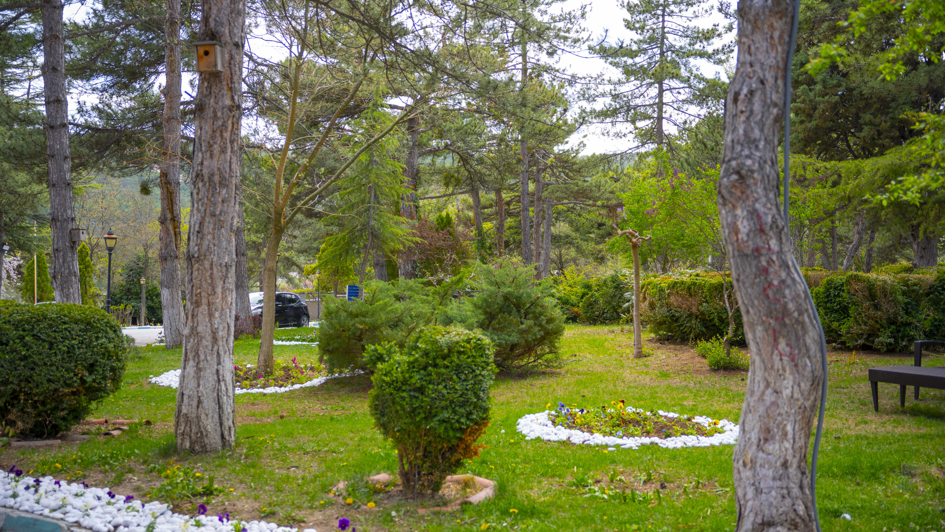 Отель Sefakent Harlek Termal