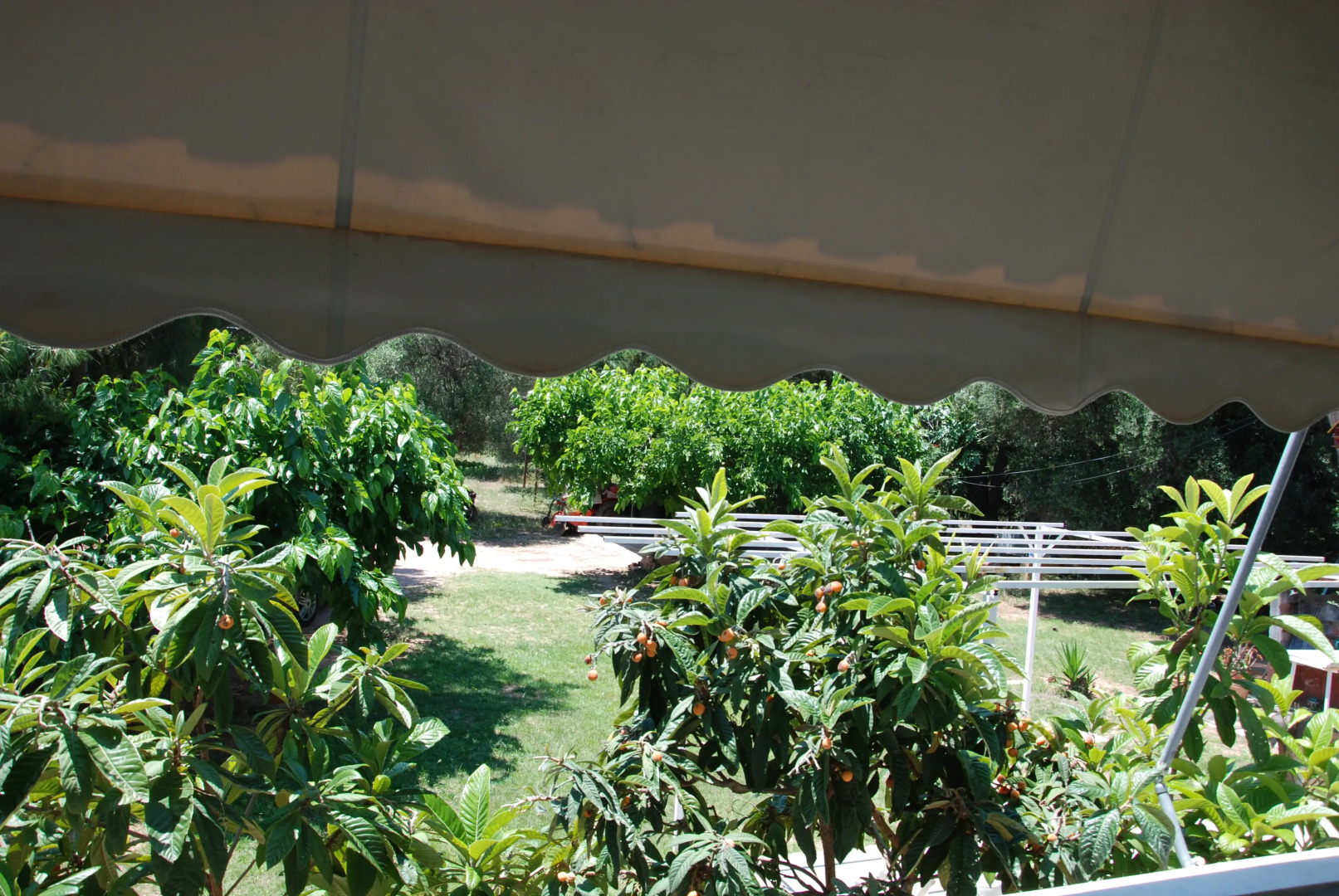 Вилла Alexander