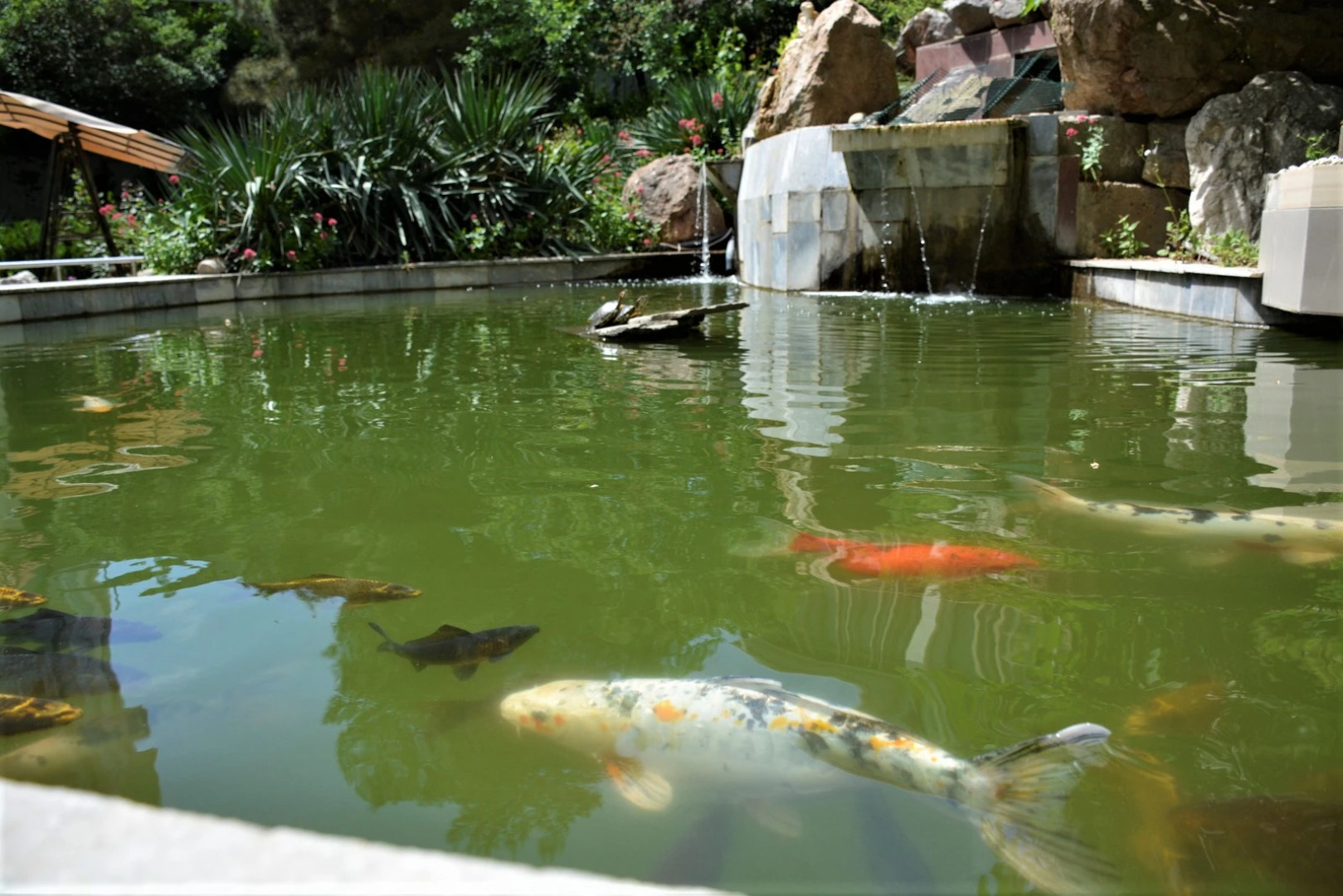 Дом Отдыха Полёт