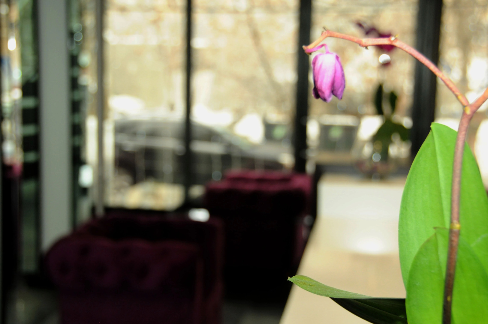 Отель Нор Ереван