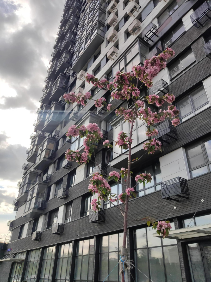 Апартаменты 8 марта 48/1