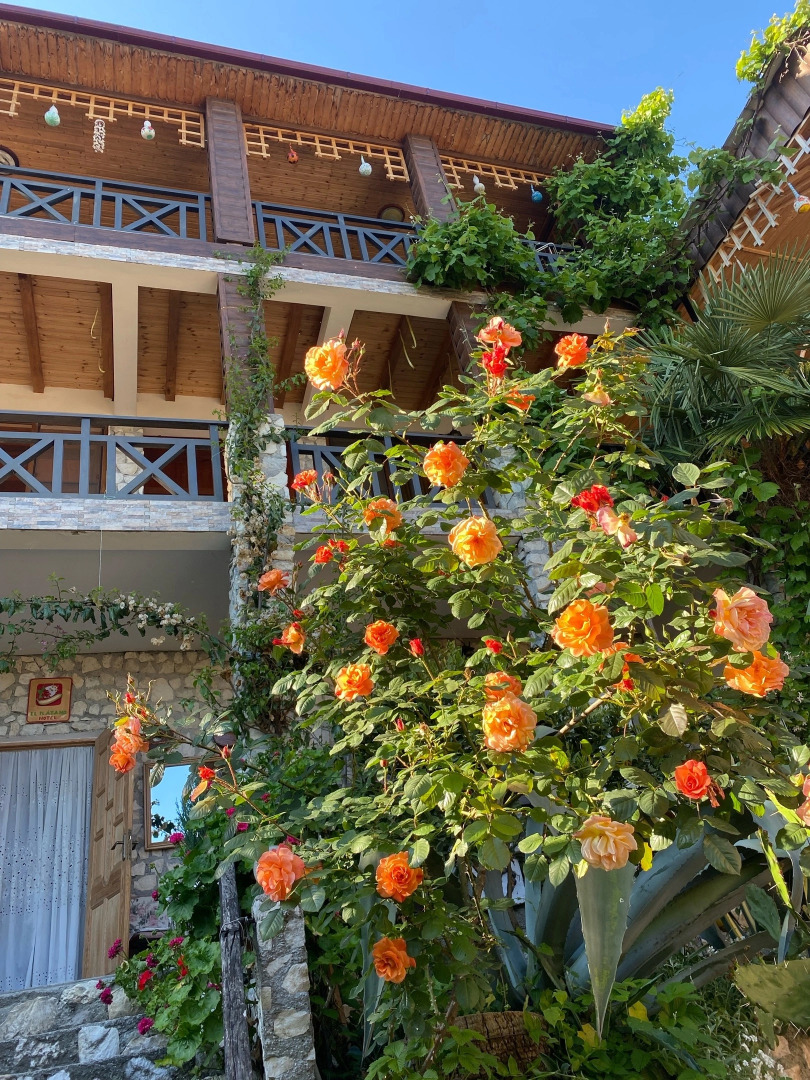 Гостевой Дом El Platano