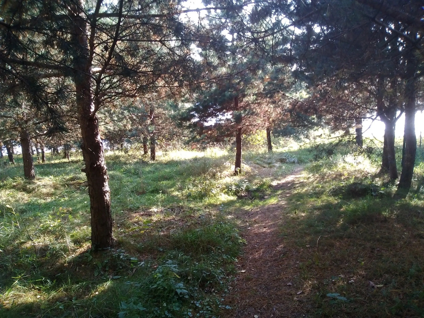 Гостевой домик Слободка 74