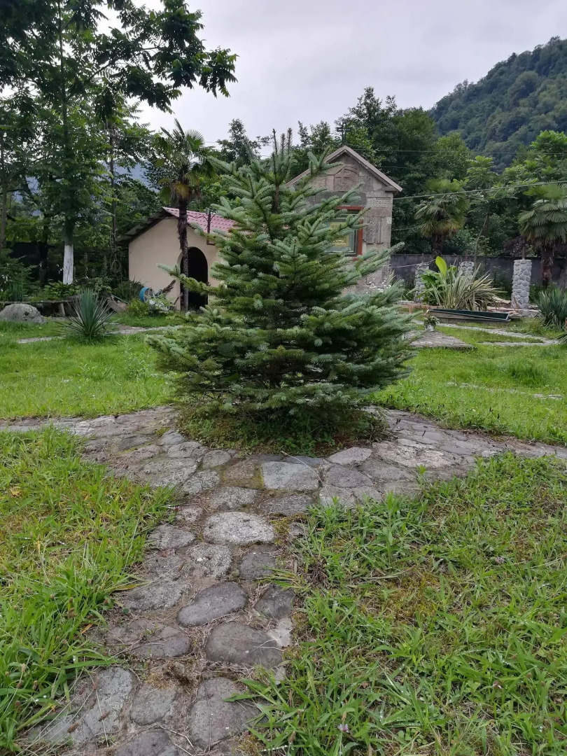 Отель Hey Georgia