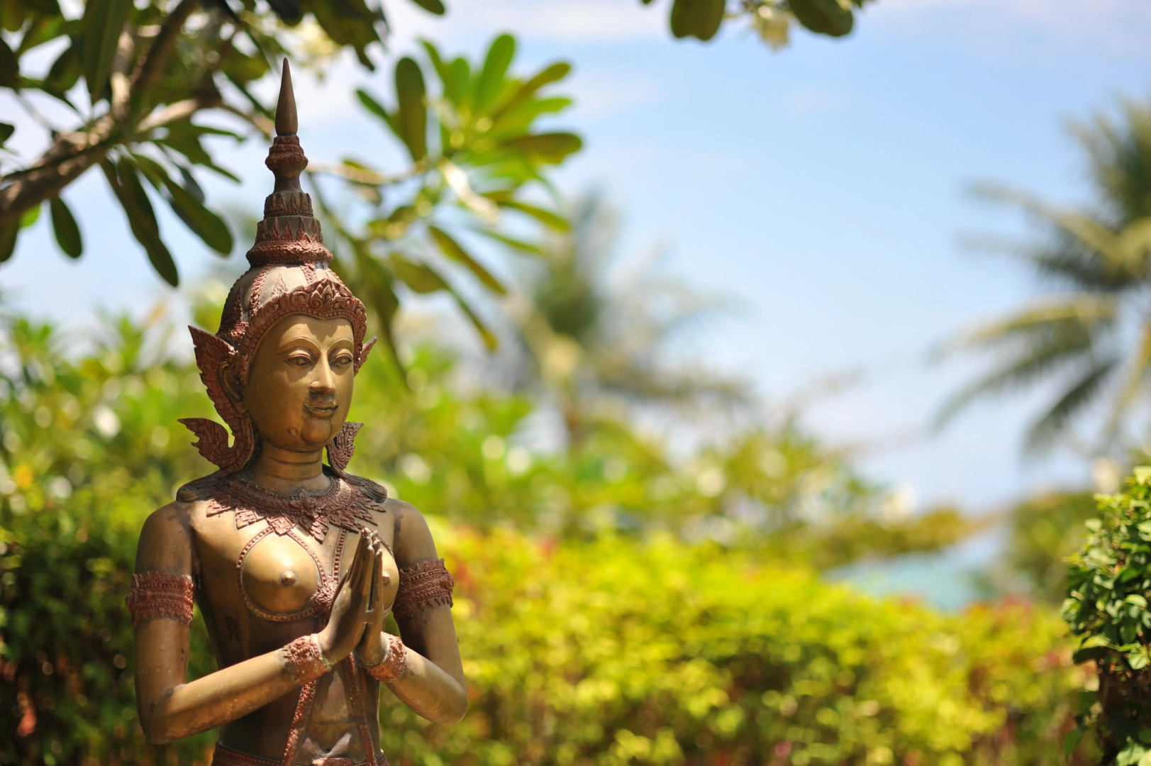 Отель Idyllic Samui Oceanfront Resort and Villas