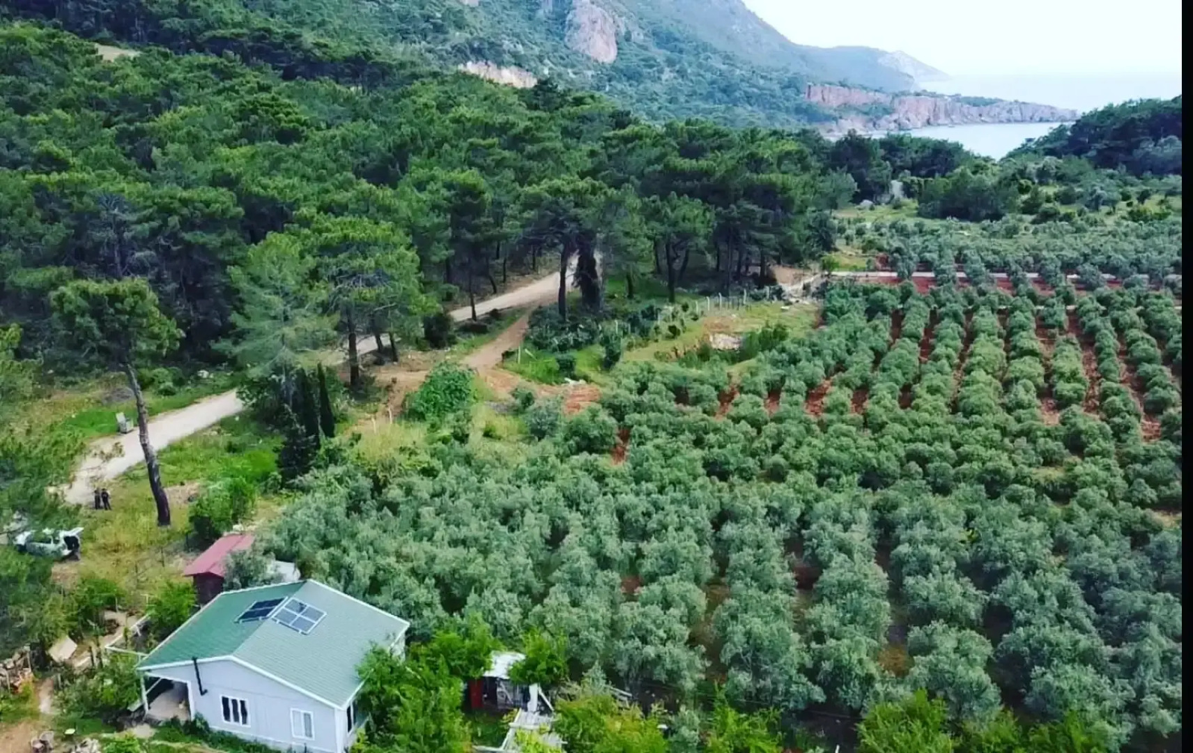 Частный дом Mürteza Çam