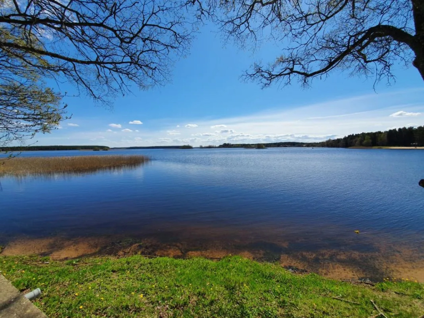 Отель Дивный Мир Хижина