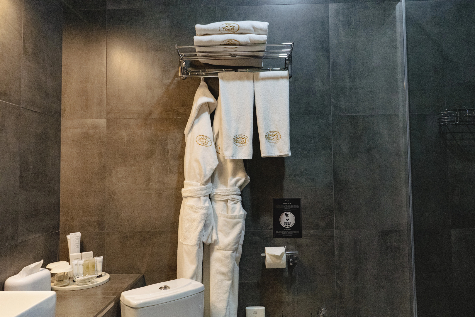 Отель Моцарт