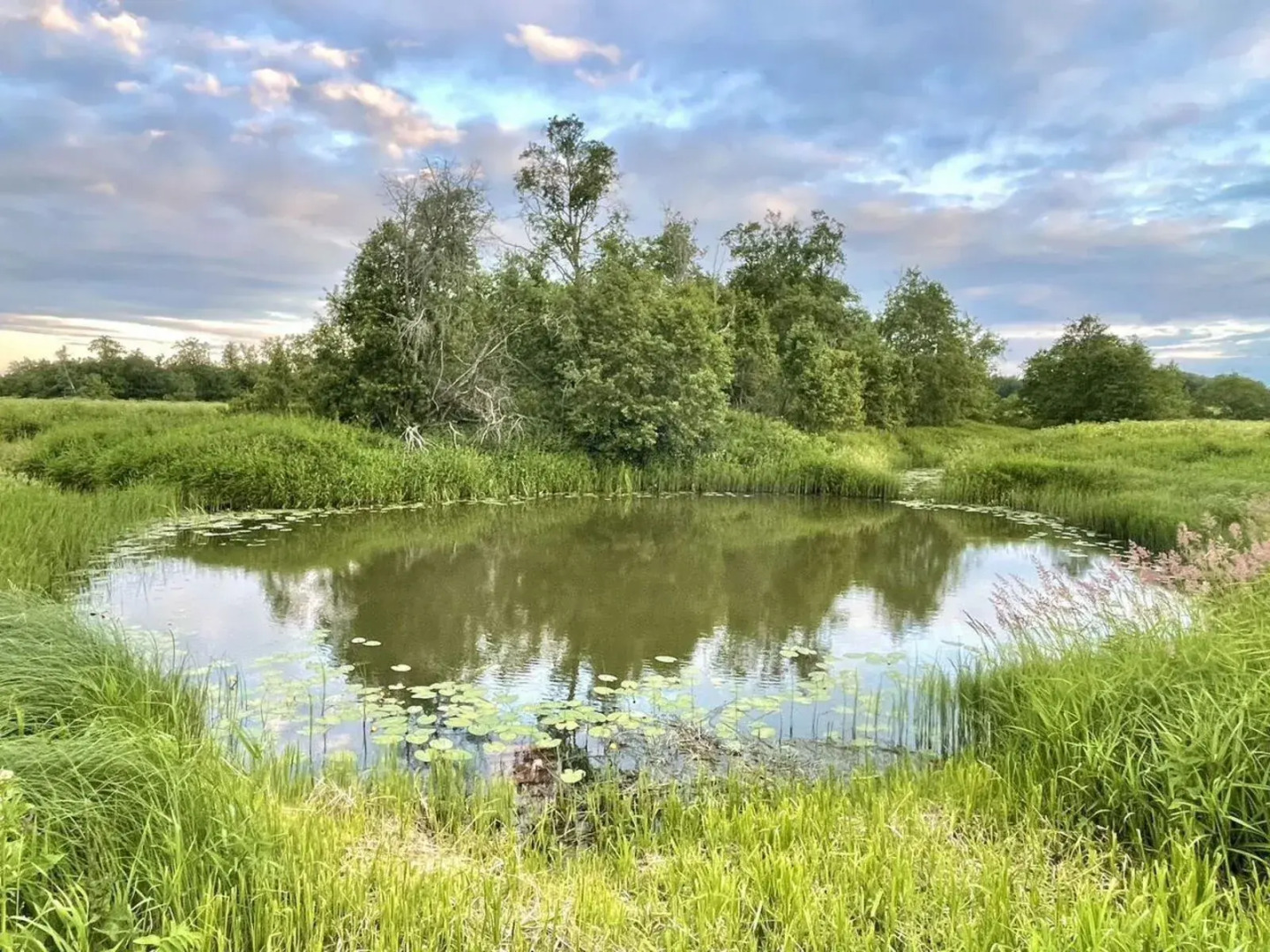 Частный Дом Уютный для Отдыха с Видом на Лес