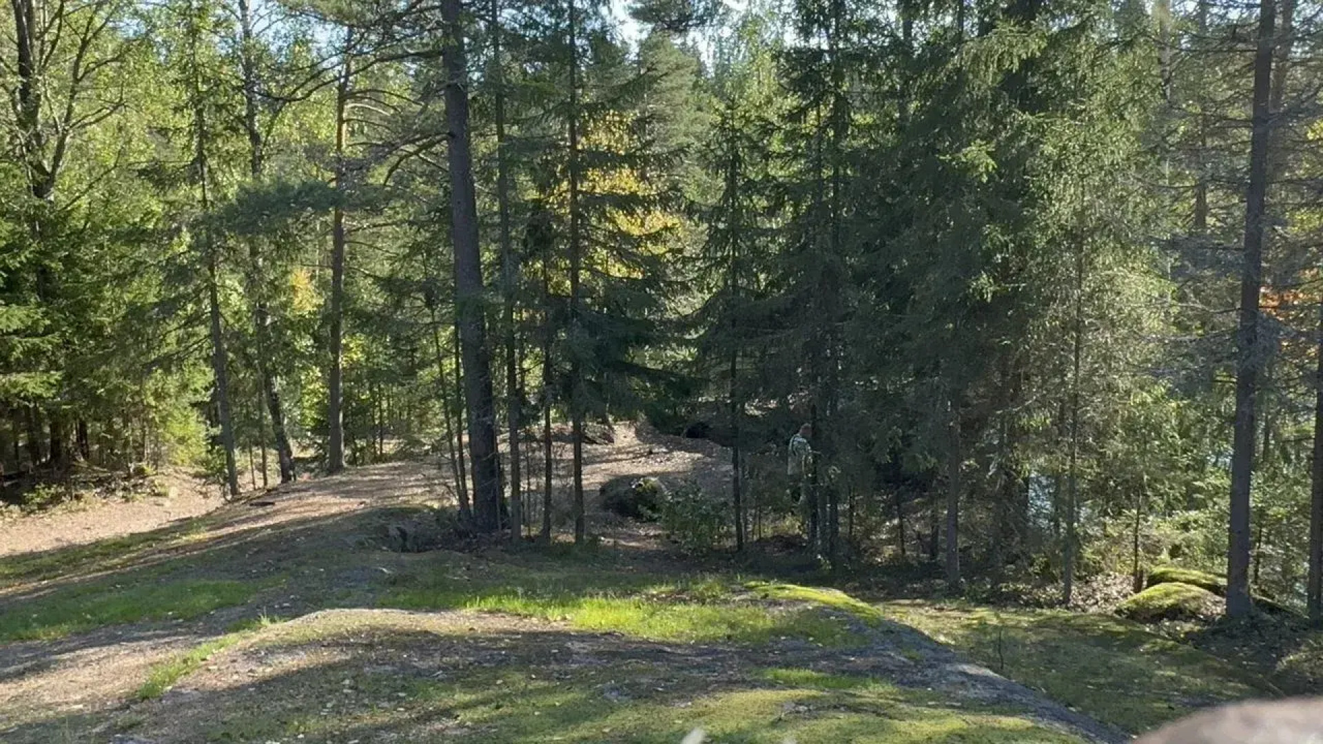 Частный дом Шепот леса