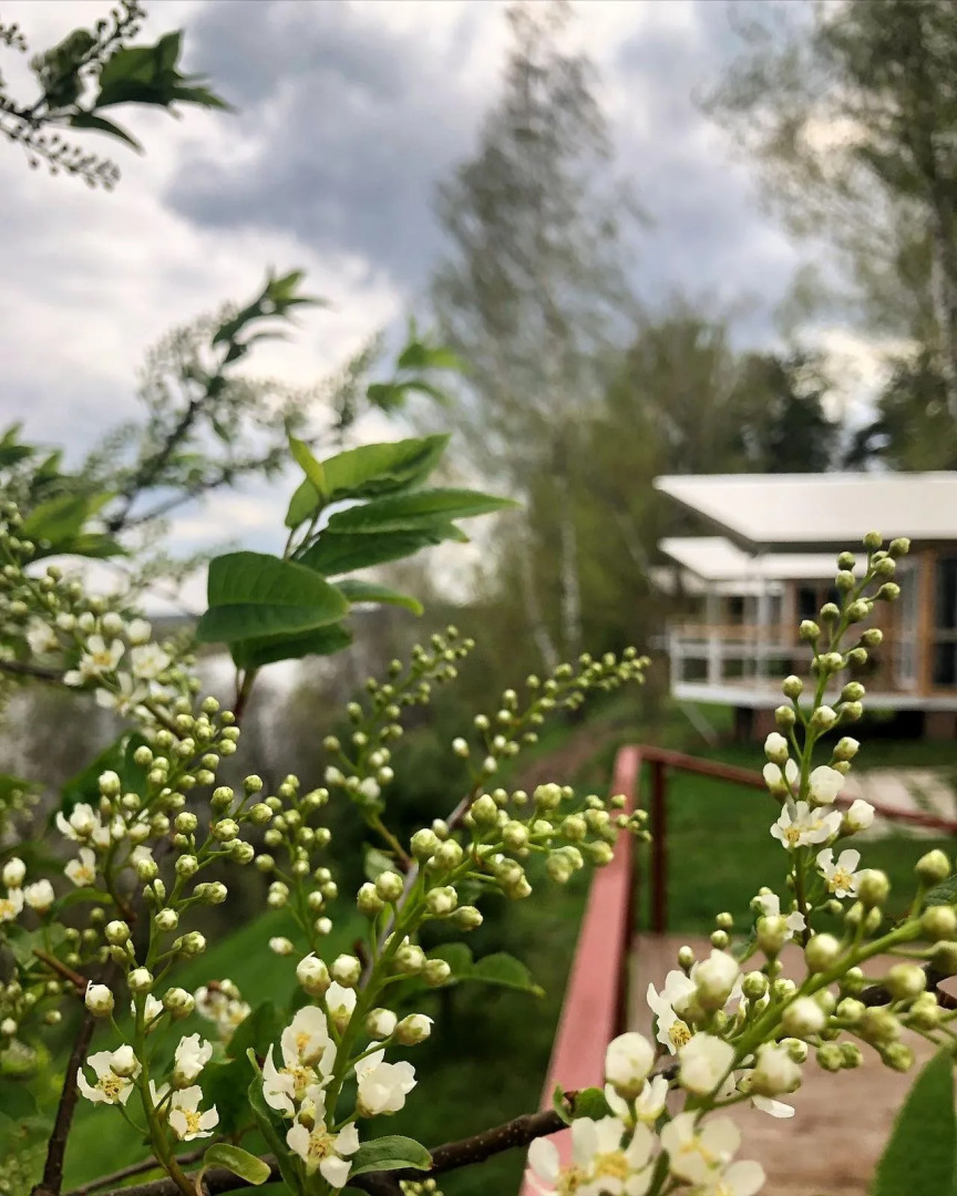 База отдыха Солнечная на Оке