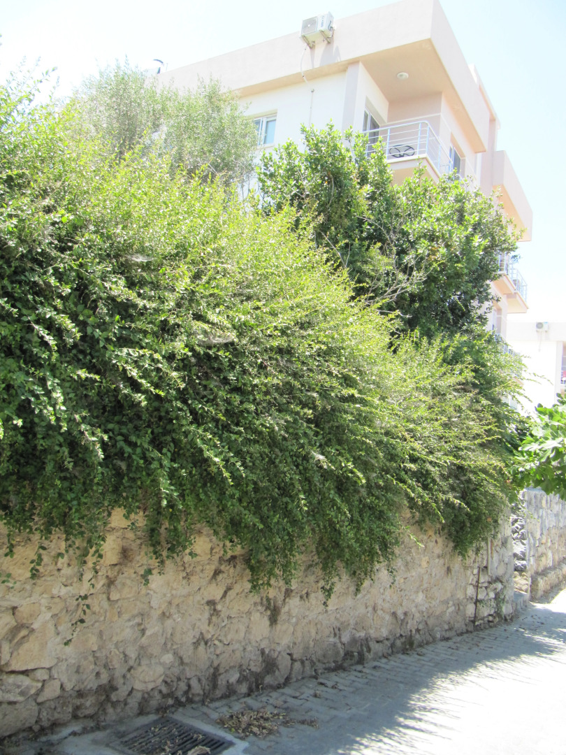 Апартаменты Sea View Penthouse