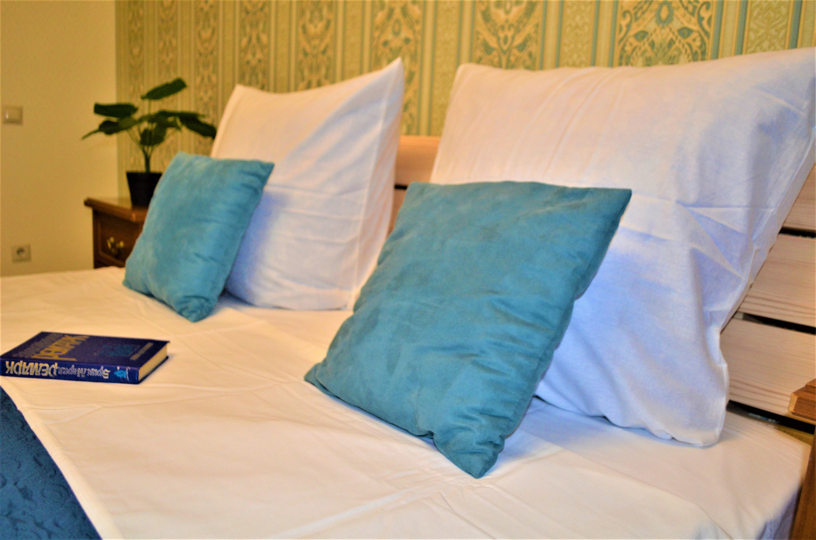 Апартаменты Андрея Белого 1