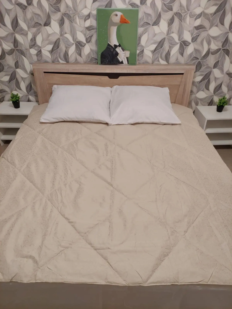 Квартира Ленгинка