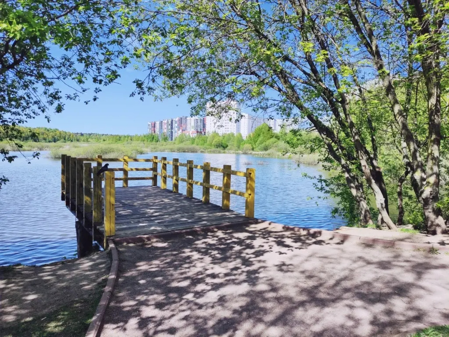 Апартаменты в авторском стиле м.Физтех