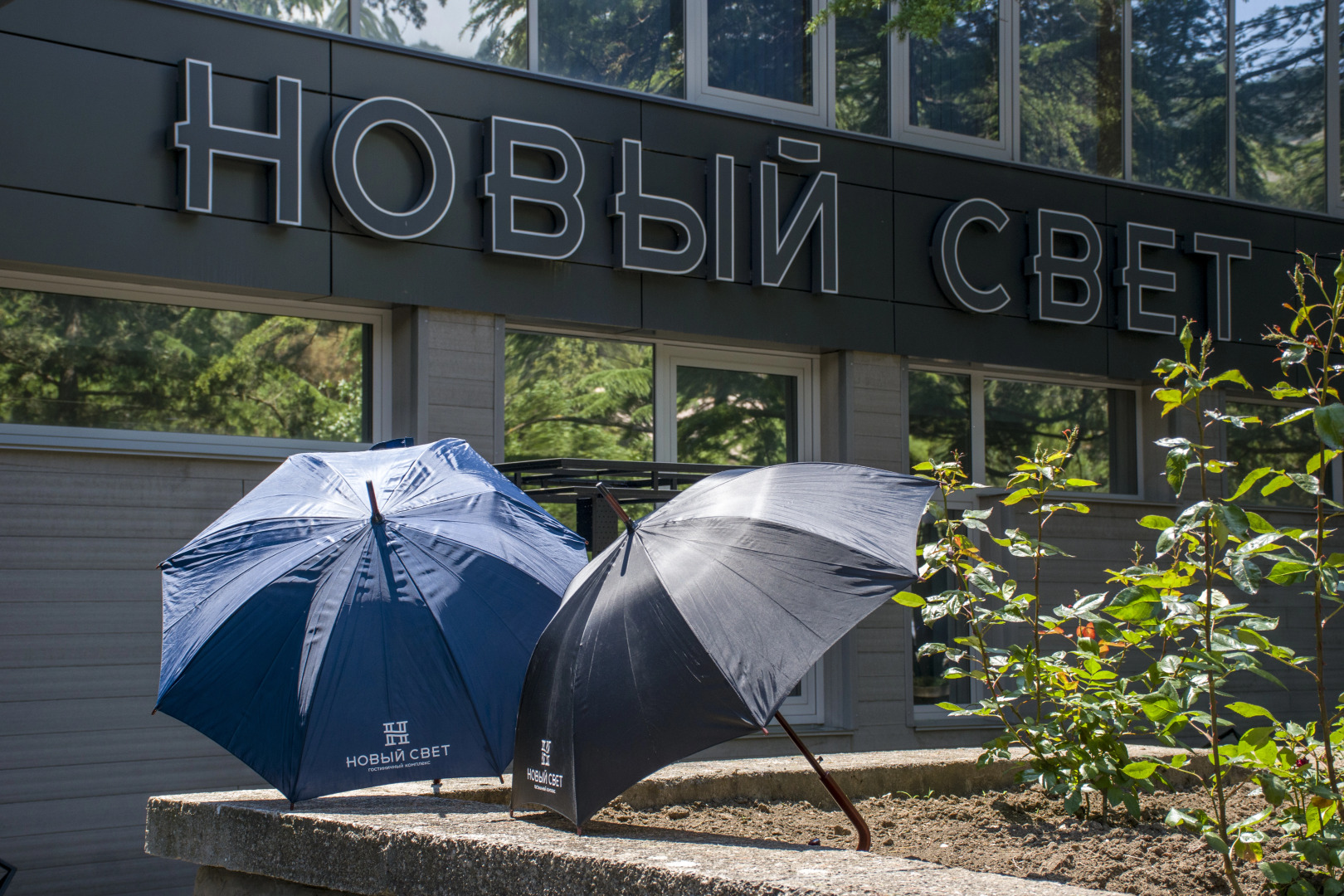 Отель Новый Свет Гостиничный комплекс