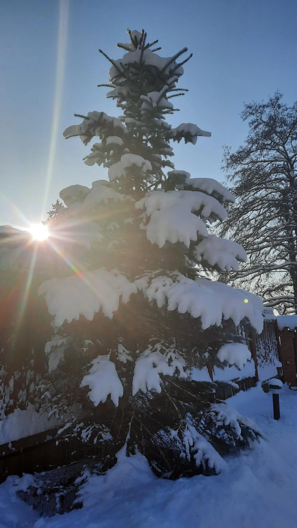 Частный дом в Вязах 2