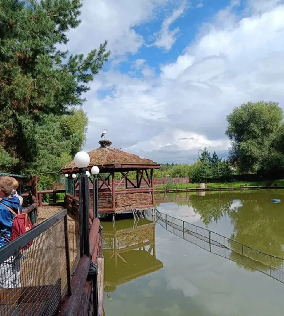 Отель Соколиное Гнездо