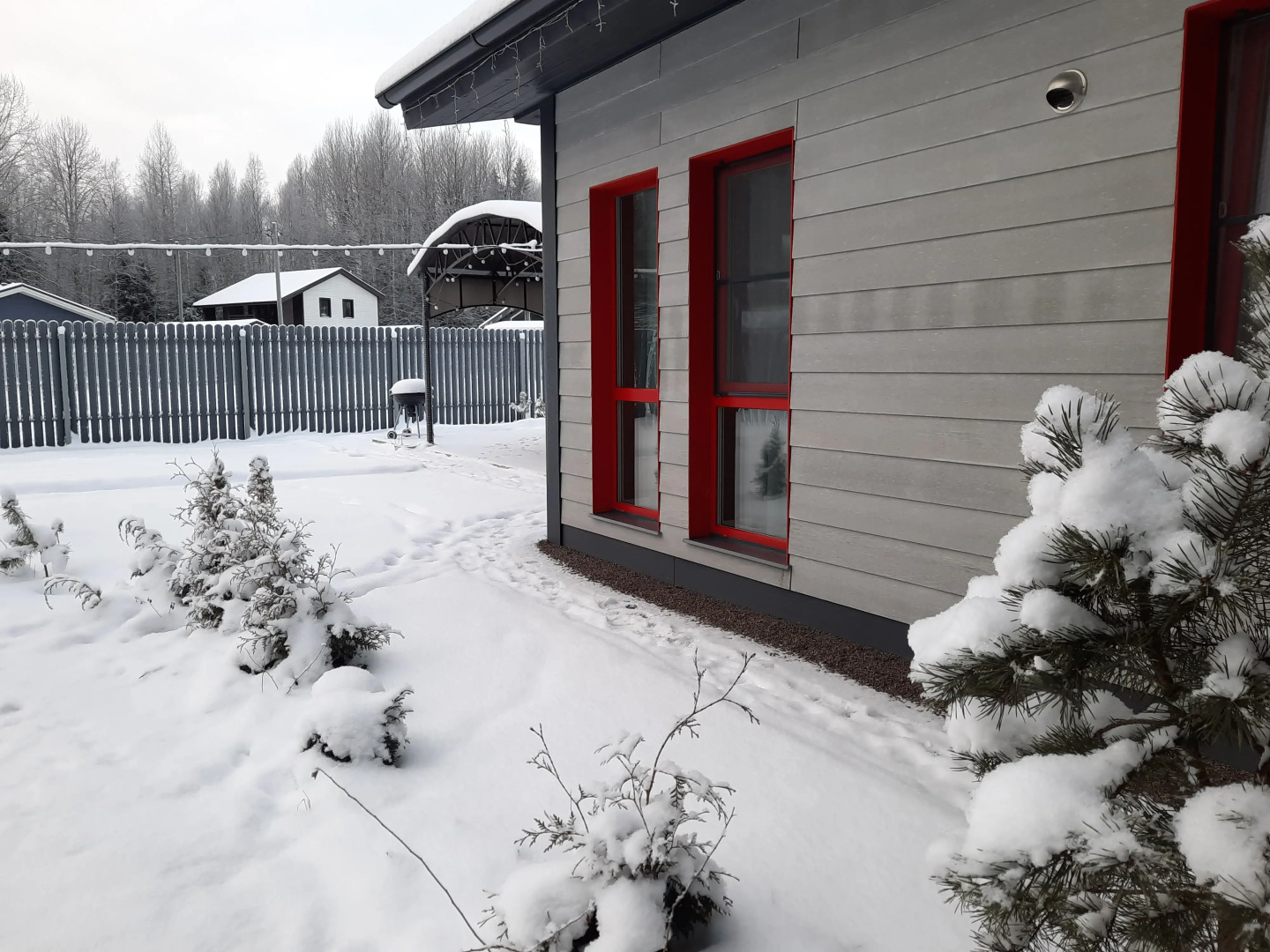 Частный дом у леса