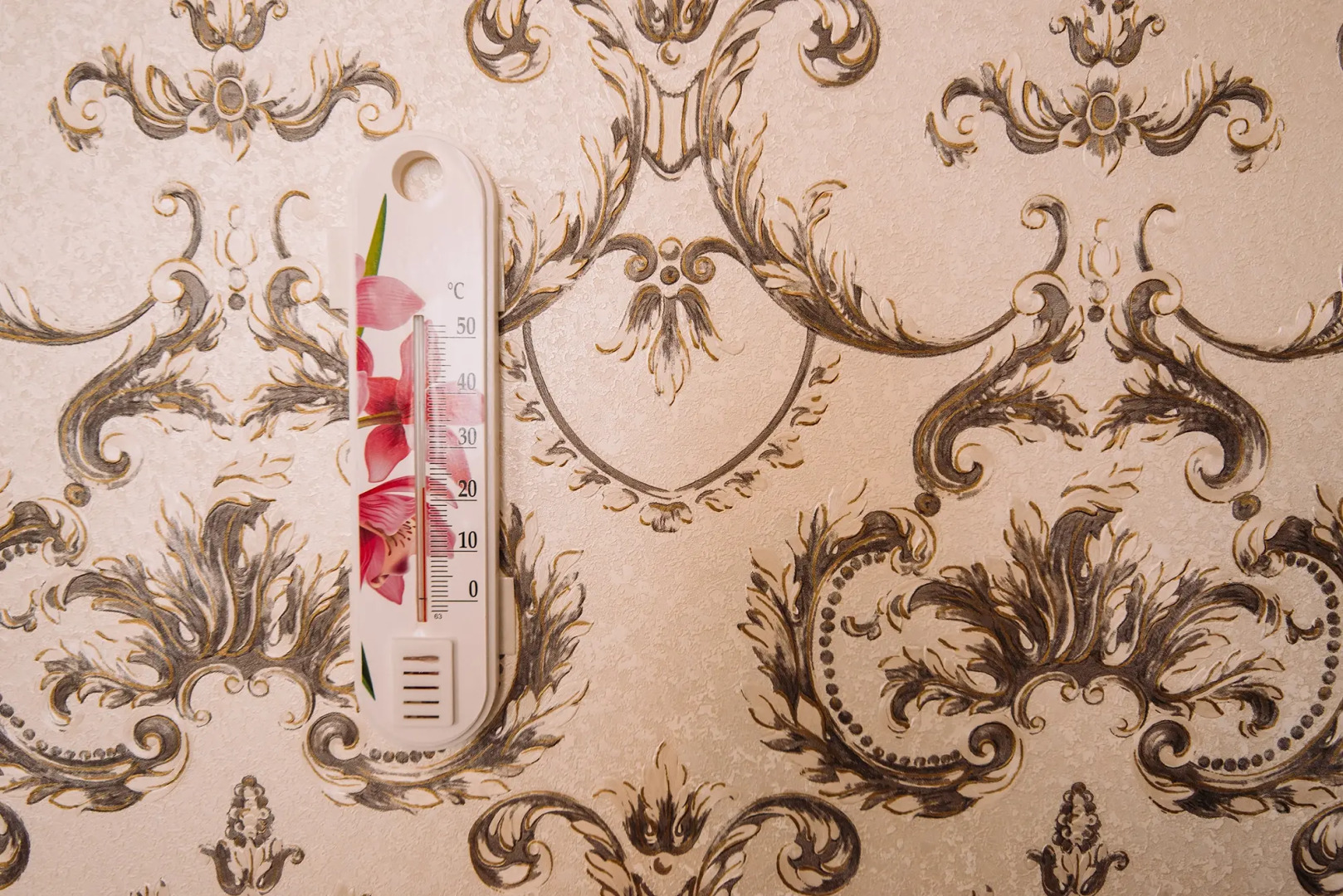 Отель Свояк