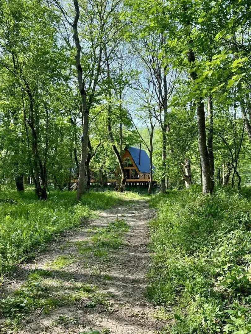 Частный дом Море