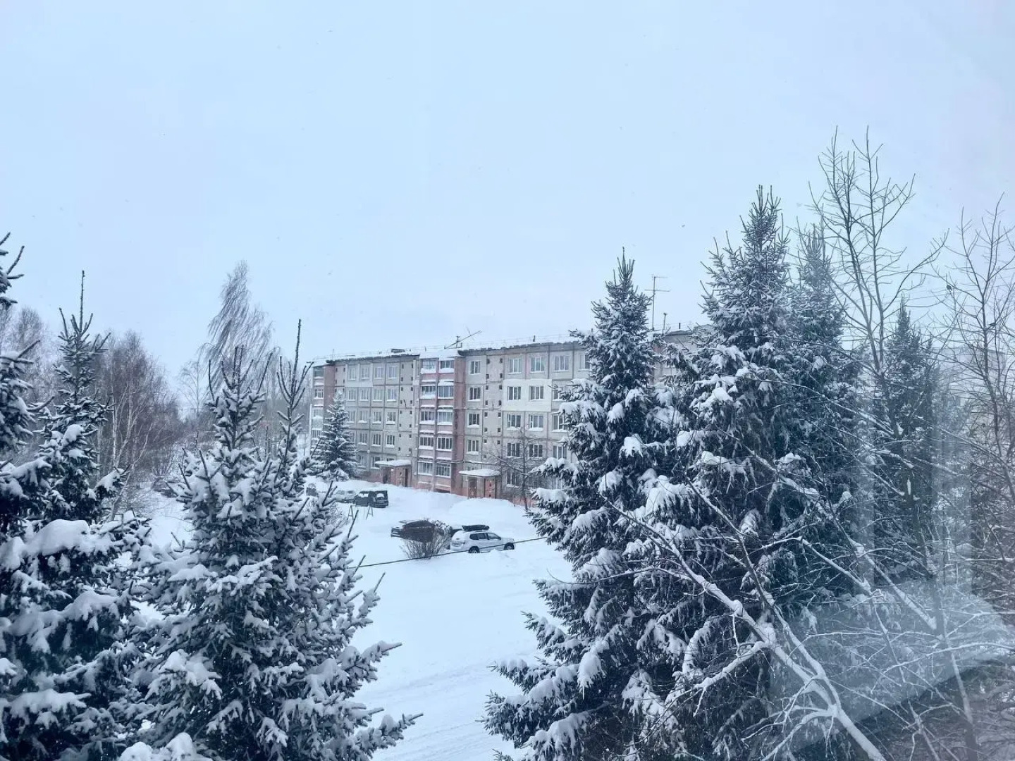 Квартира Калина на Мира 1