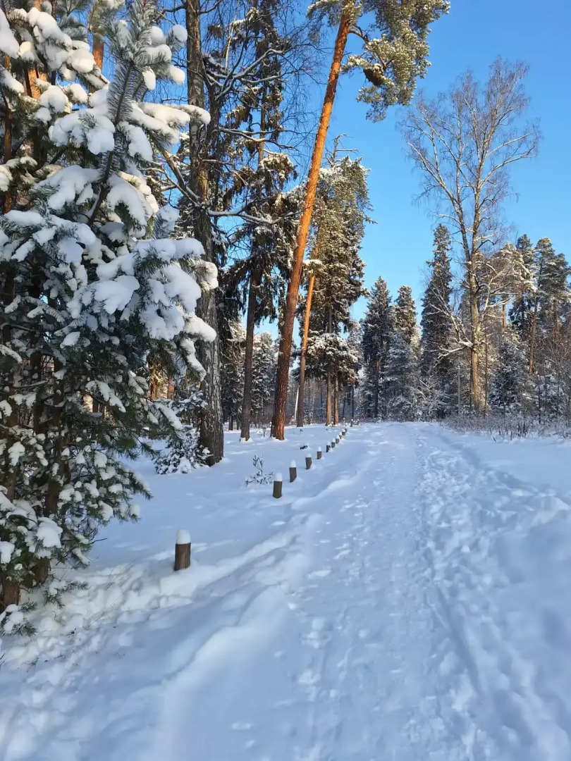 Частный дом в Заветах Ильича с голубой гостиной