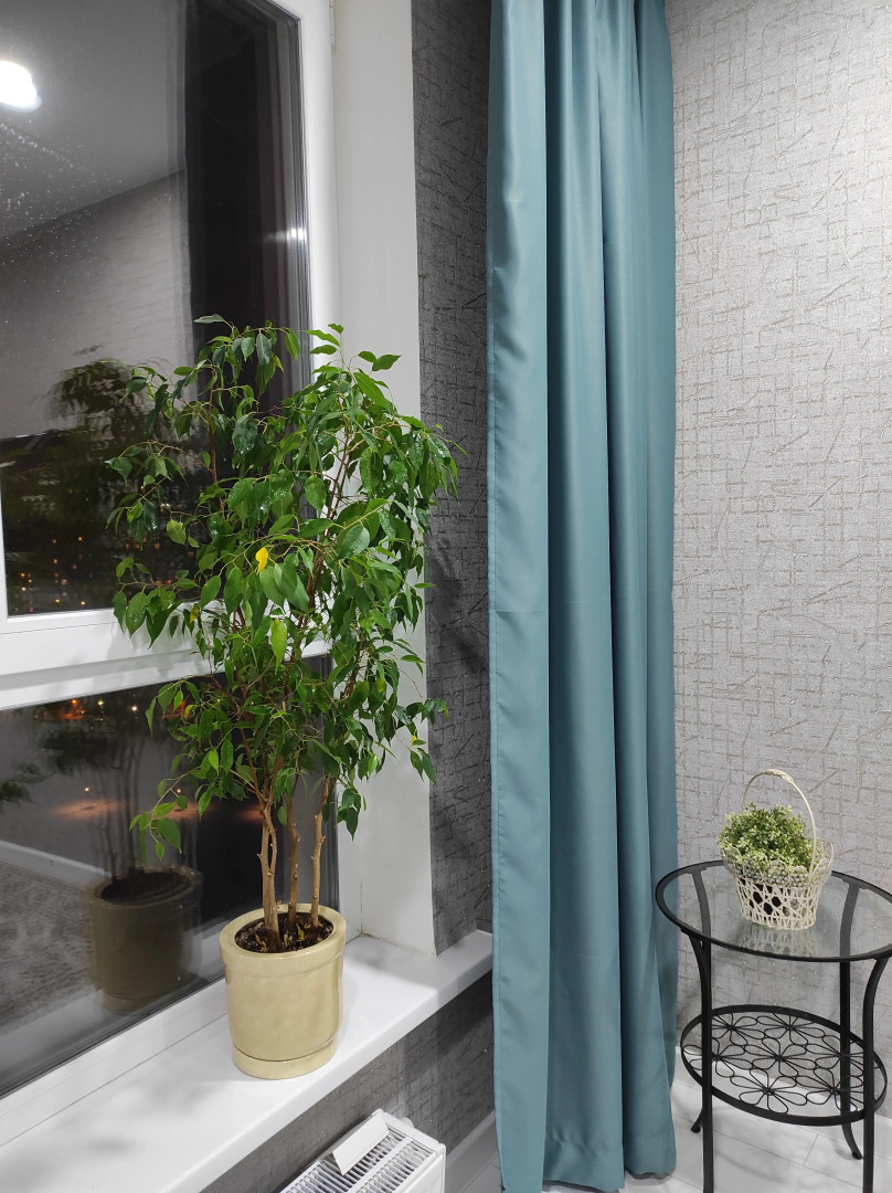 Квартира Приморский Legend 1-к с Диваном на Кухне