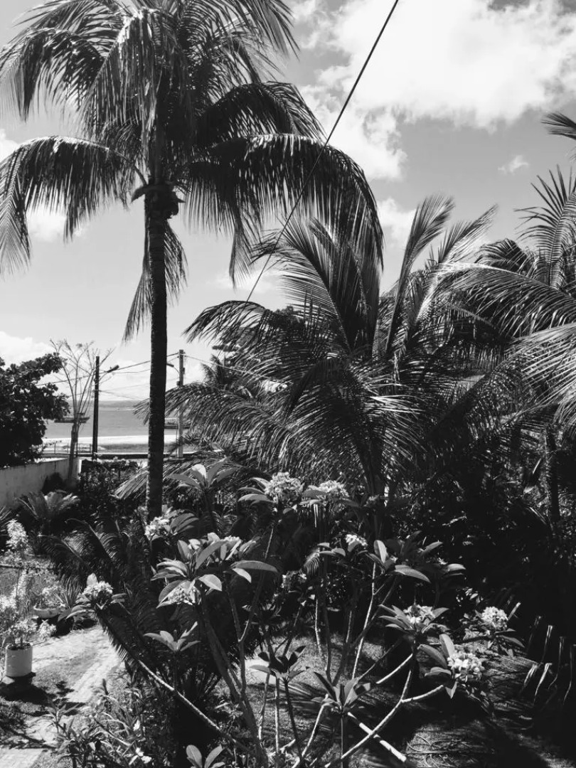 Отель Village do Dendê Garden Guesthouse and Bungalows