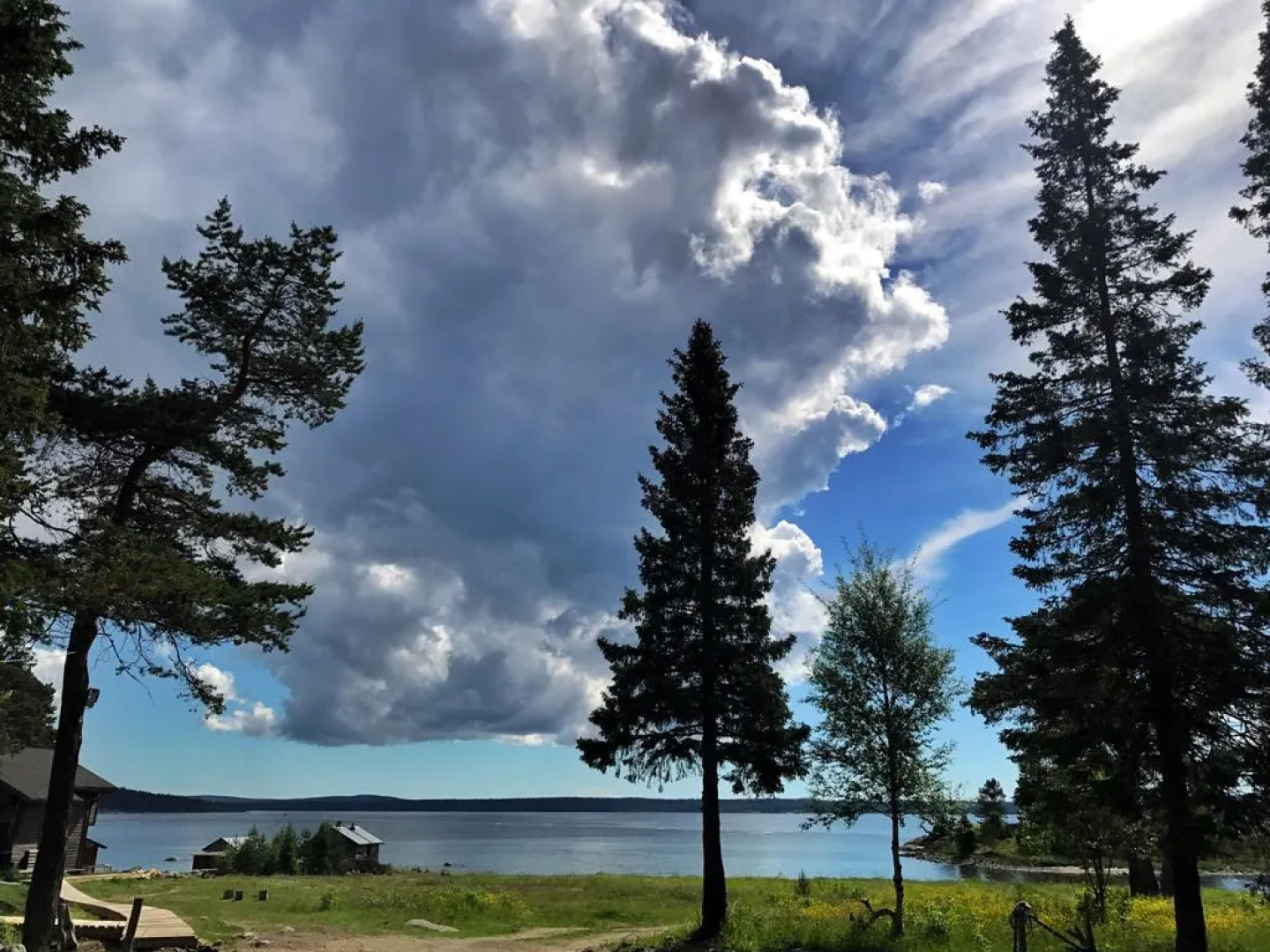 Отель Cedar Grass Белое Море