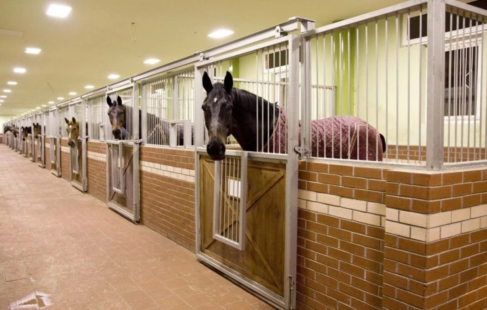 Бутик-отель Padok Premium Hotel & Stables