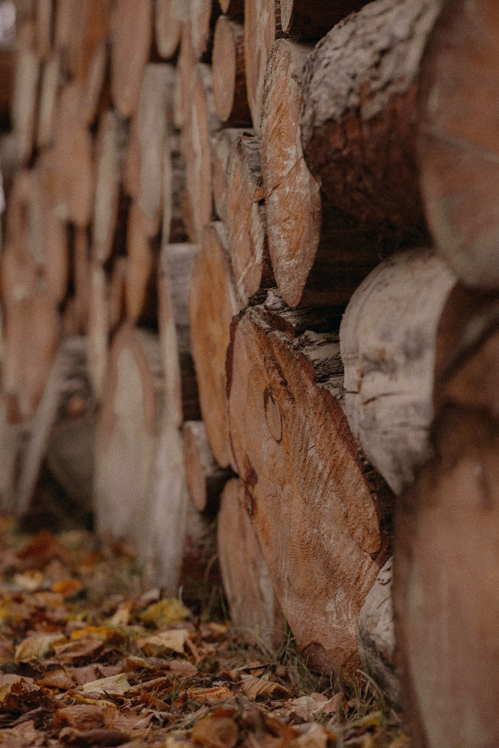 Отель Пайн Ривер