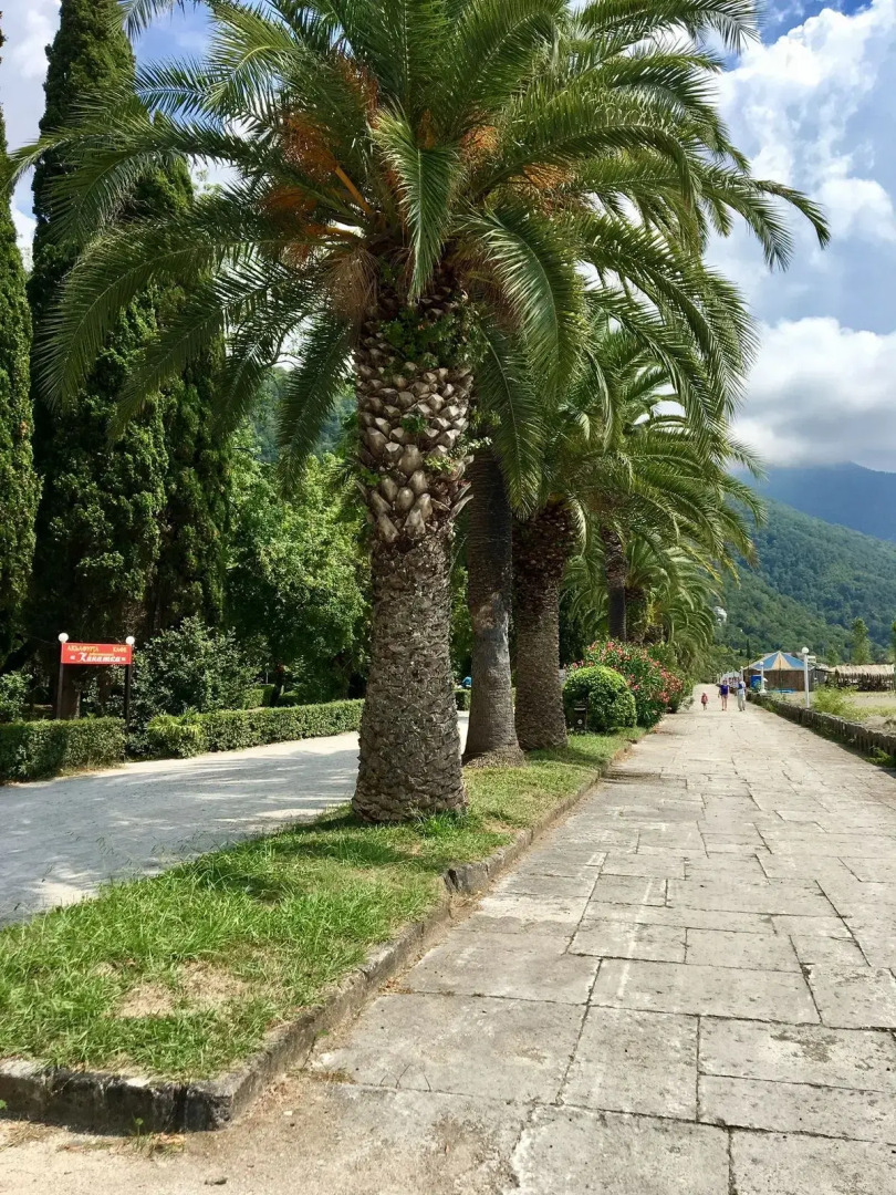 Гостевой дом У Розы