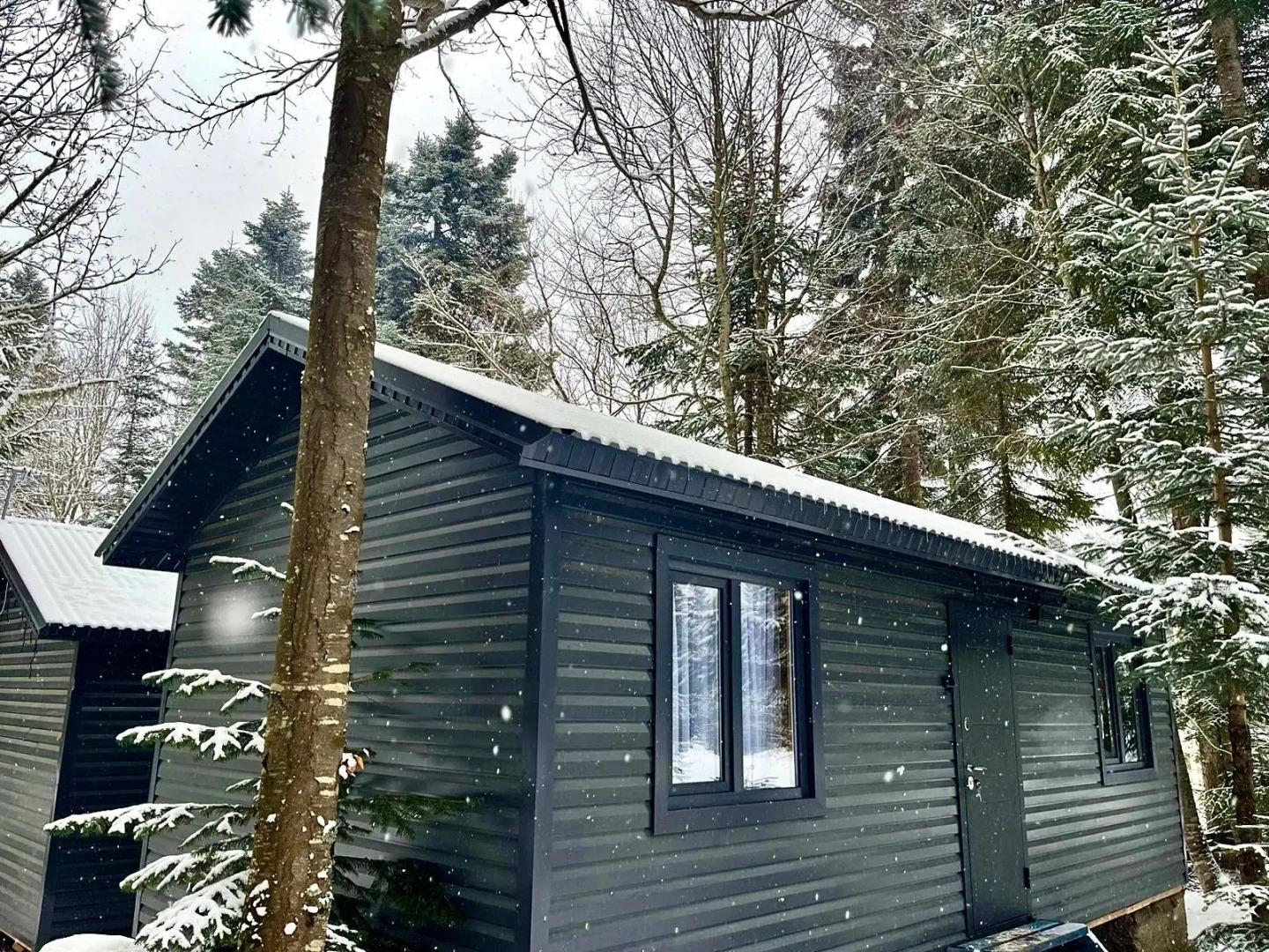 Шале Гостевой дом Виктория