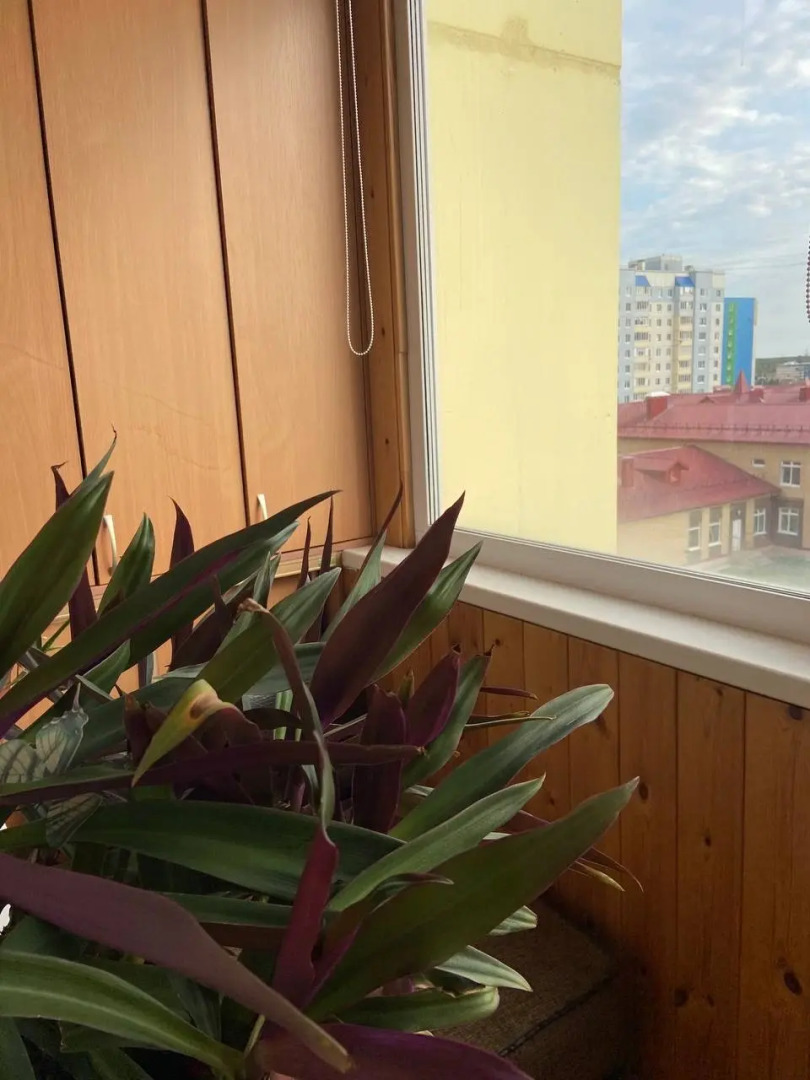 Квартира Уютная для хорошего отдыха