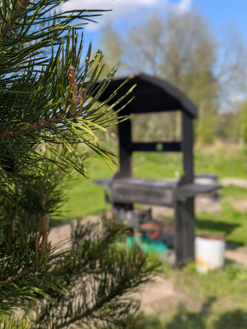 Бунгало Дачный Комплекс ДипДача