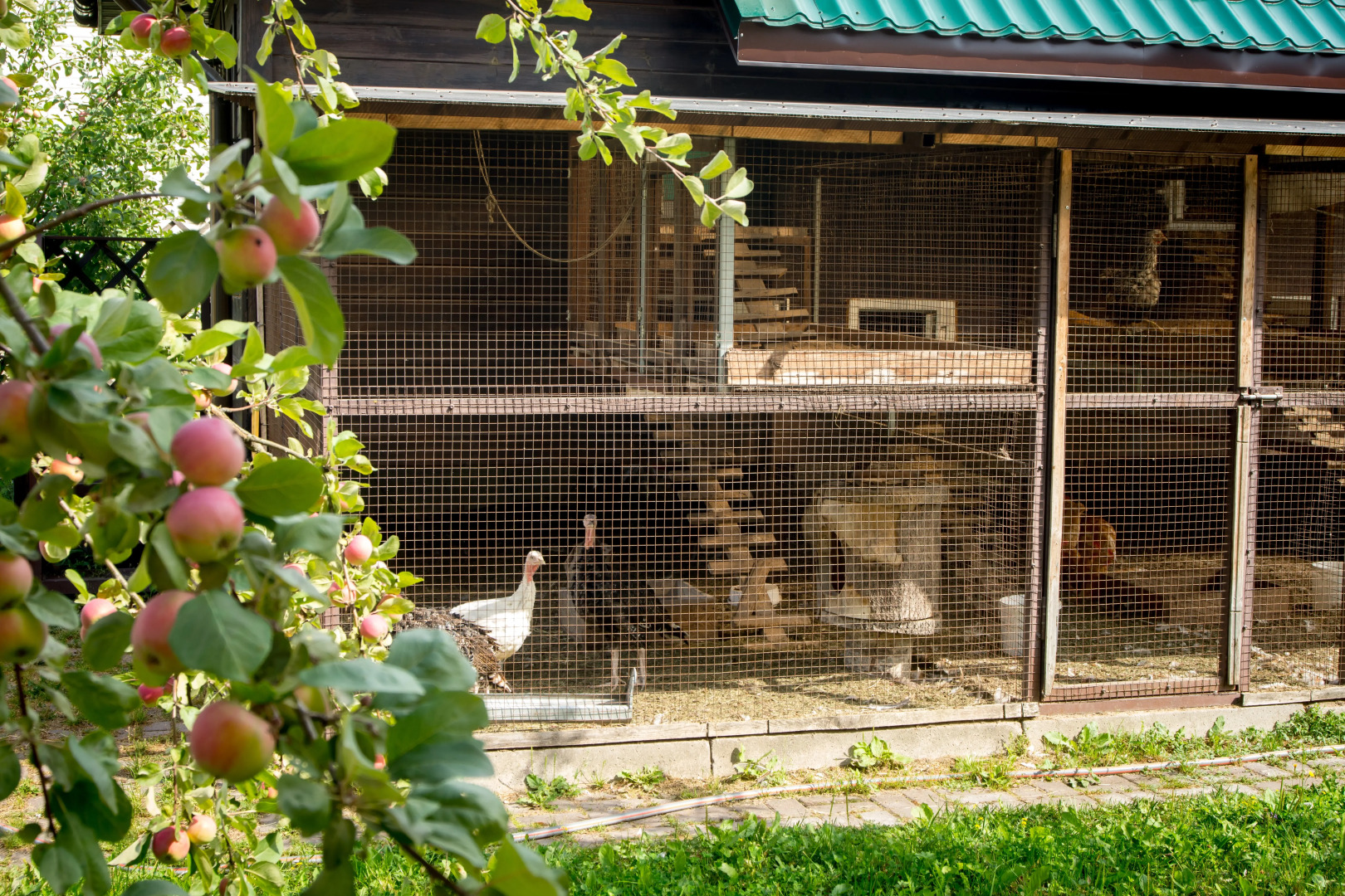 Гостевой дом Уютное место для загородного отдыха