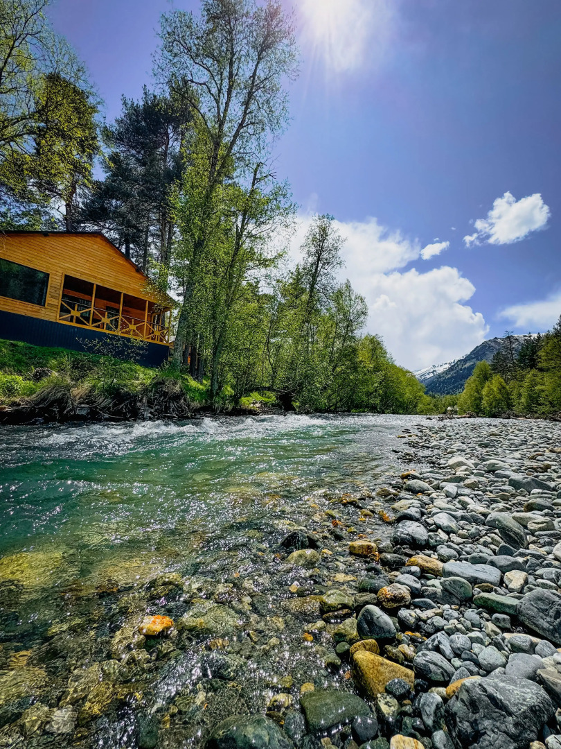 Шале Хвоя трехкомнатный люкс
