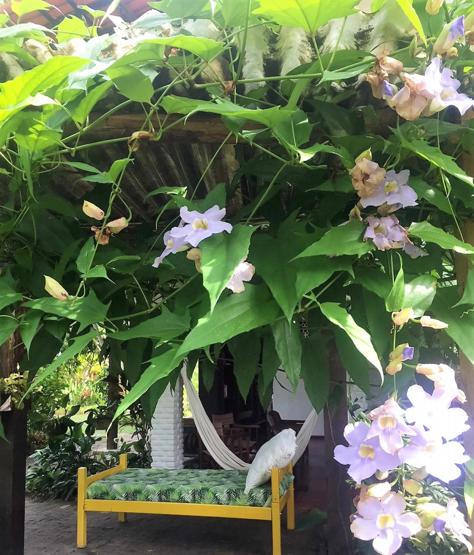 Отель Village do Dendê Garden Guesthouse and Bungalows