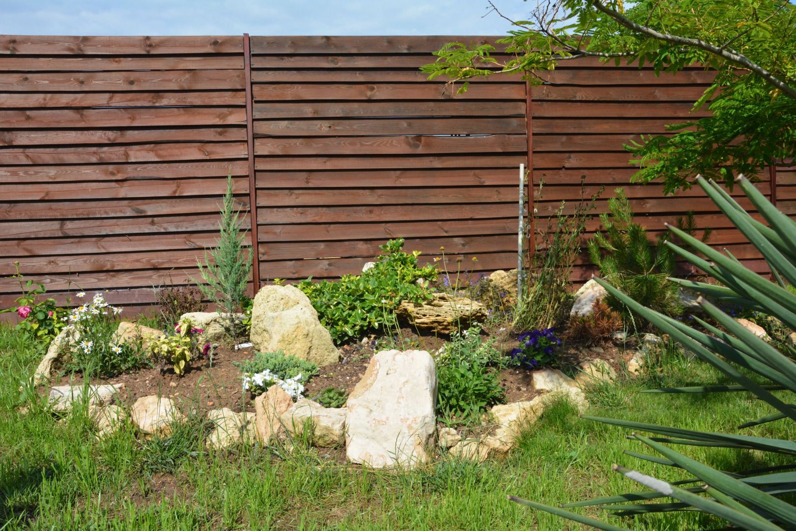 Dacha Leo Guest House