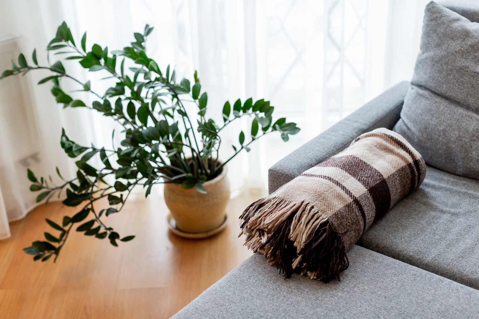 Апартаменты Якорь