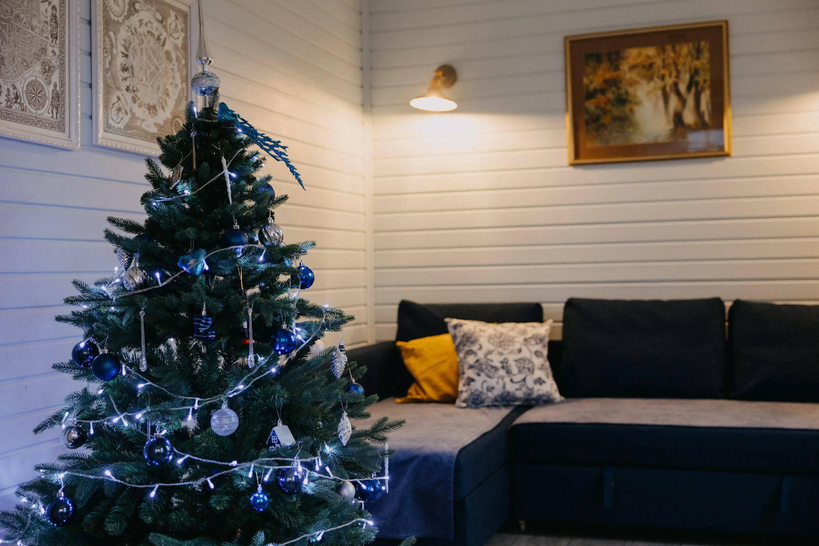 Частный дом Синяя синица