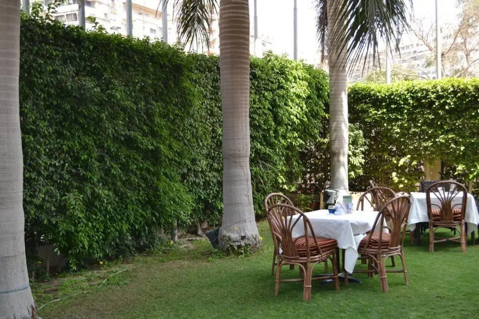 Отель Triumph Plaza Hotel