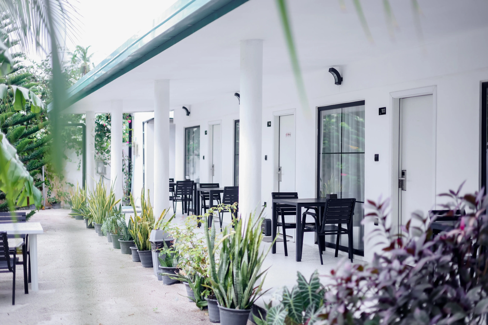 Гостевой дом Belvedere Thoddoo