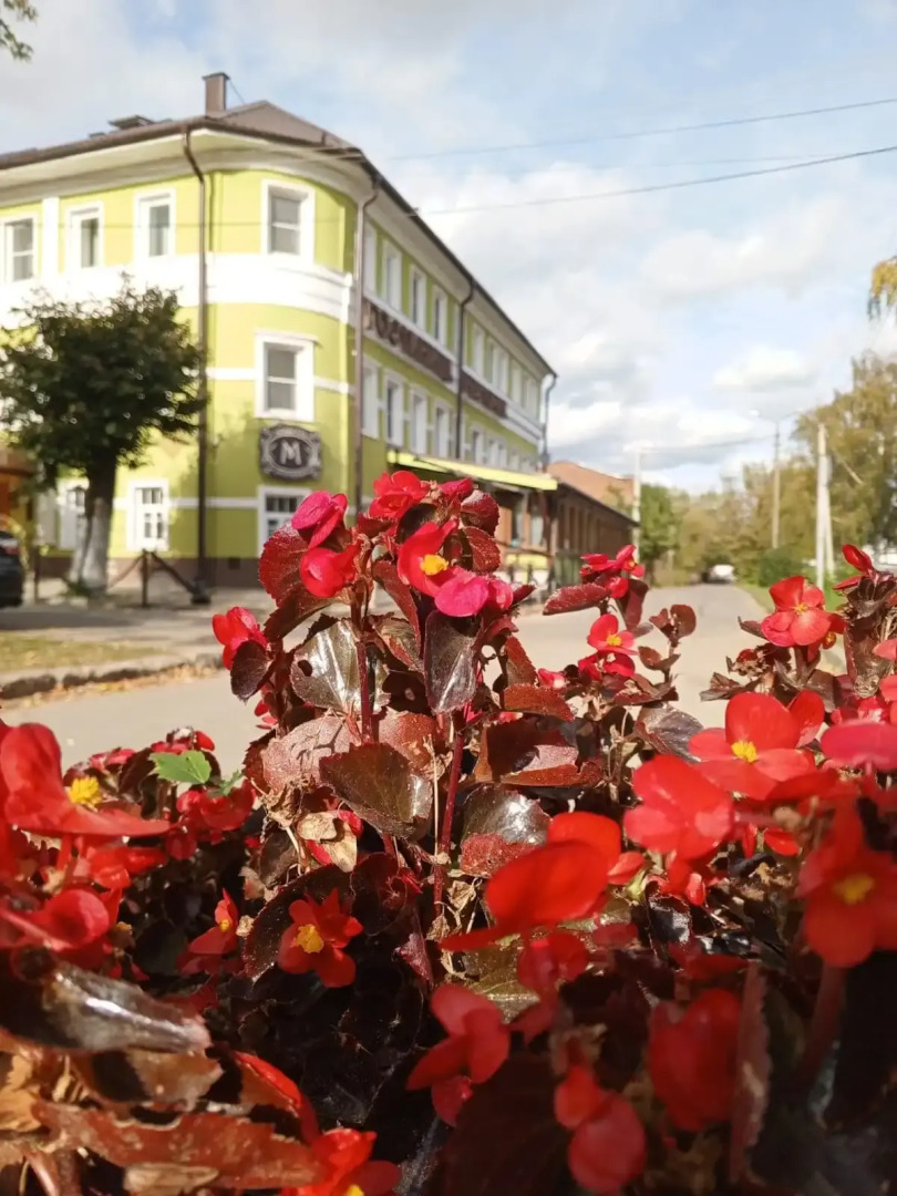 Отель Чайка