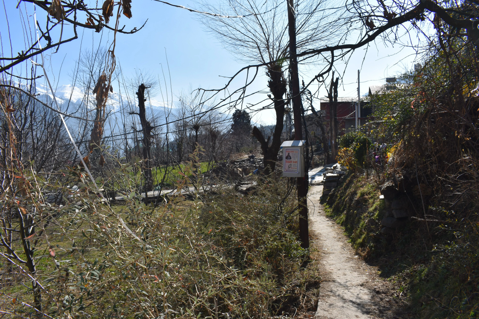 Апартаменты Nishant