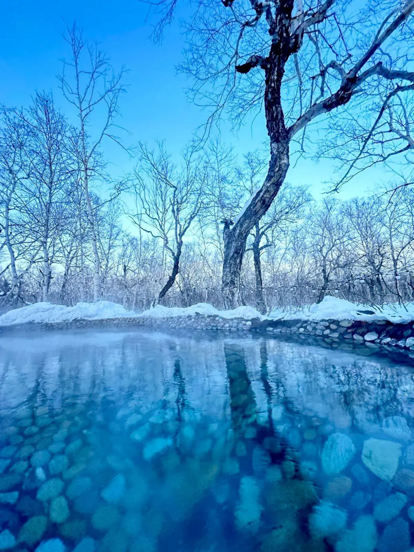 Коттеджи Горячая сопка