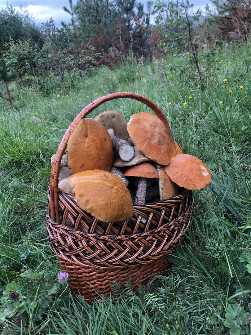 База отдыха Бермамыт