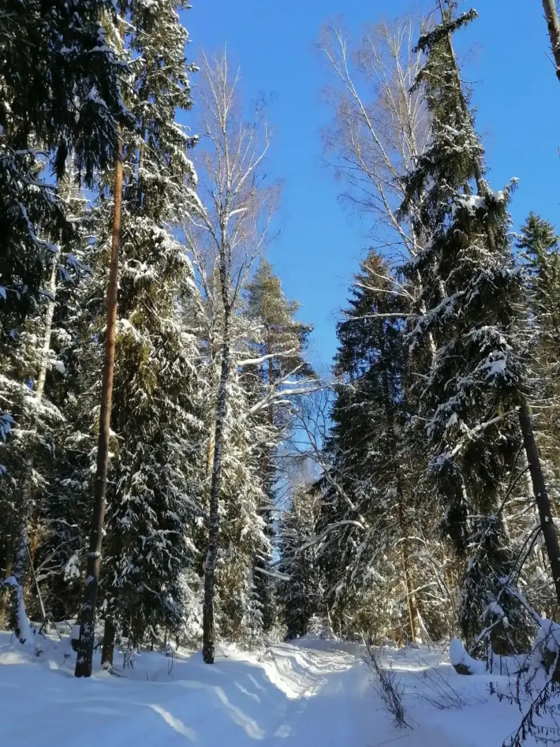 Частный дом с камином Речная Заимка