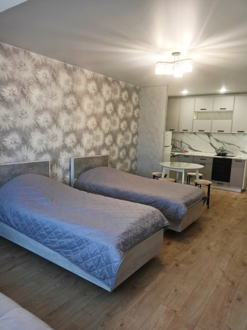 Апартаменты студия 9 на Симанина 14